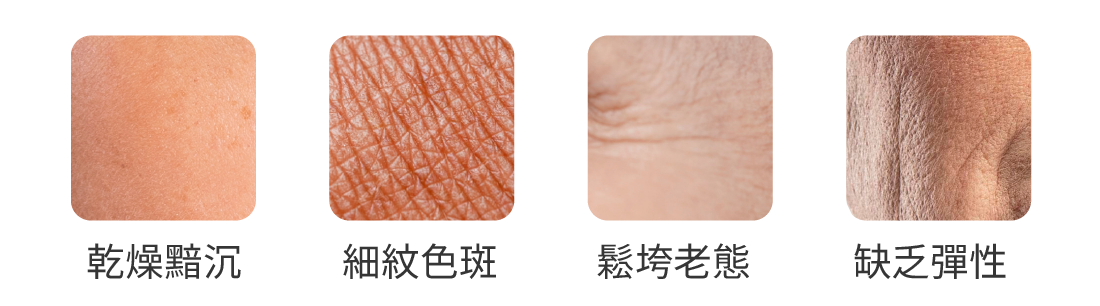 長效水光針 圖片 4